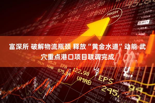 富深所 破解物流瓶颈 释放“黄金水道”动能 武穴重点港口项目联调完成