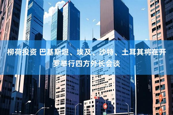柳荷投资 巴基斯坦、埃及、沙特、土耳其将在开罗举行四方外长会谈