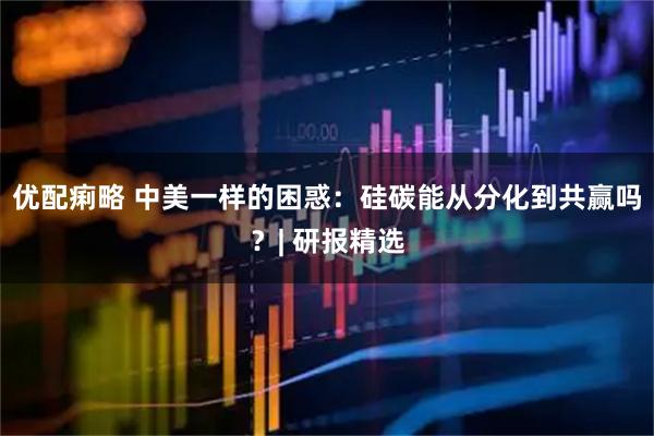 优配痢略 中美一样的困惑：硅碳能从分化到共赢吗？| 研报精选