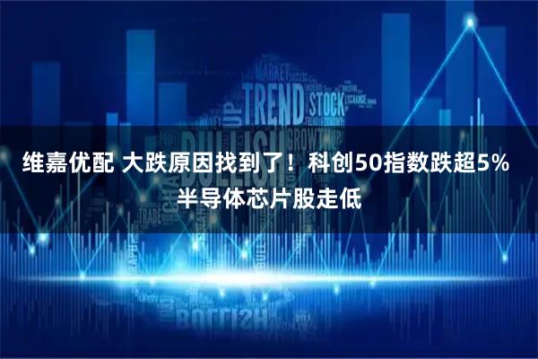 维嘉优配 大跌原因找到了！科创50指数跌超5% 半导体芯片股走低