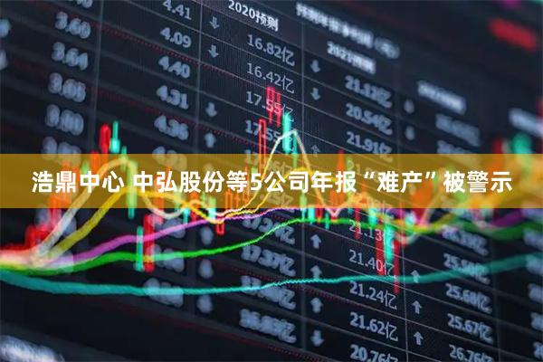 浩鼎中心 中弘股份等5公司年报“难产”被警示